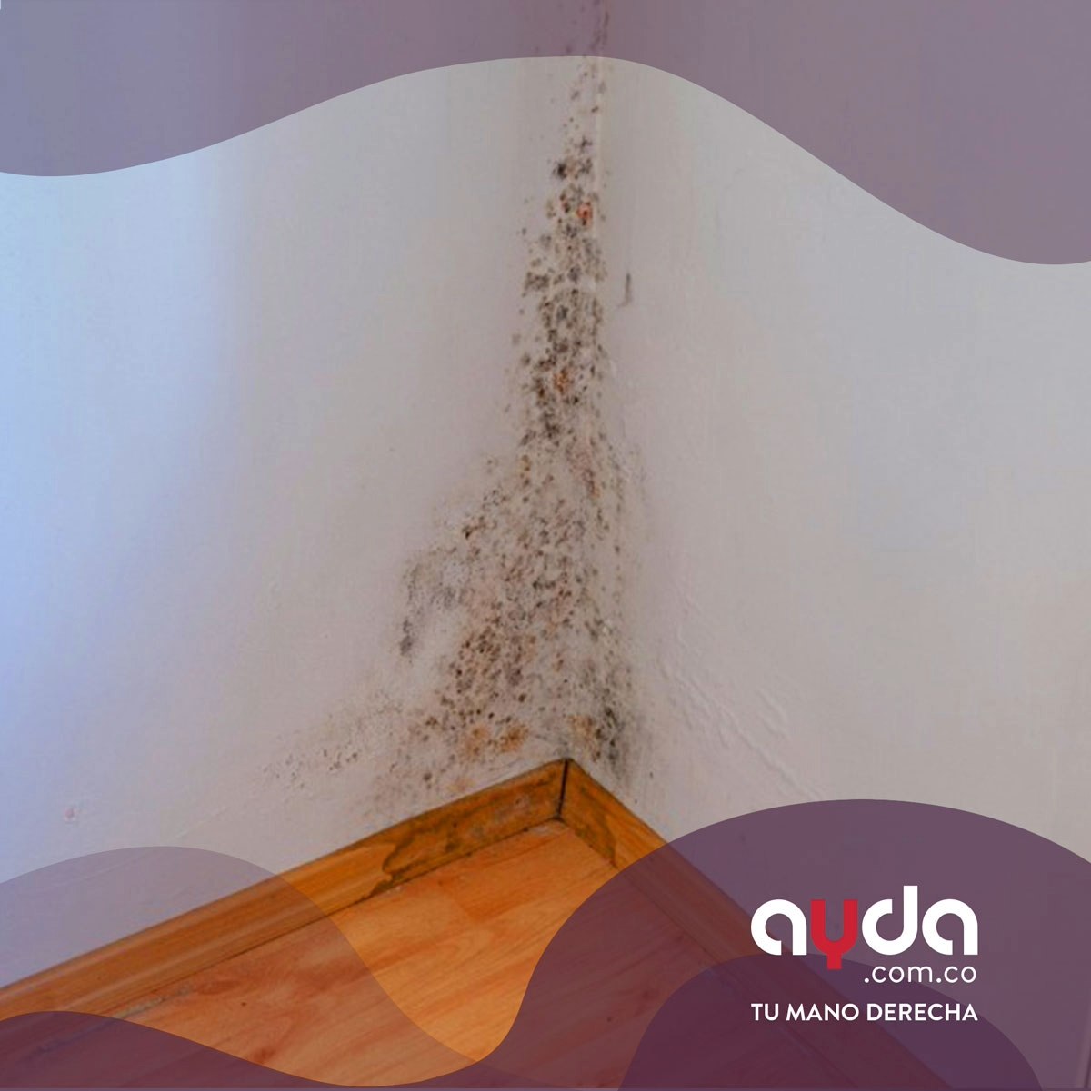 Mancha grande y amarillenta de filtración de agua en la esquina de un techo interior, que representa las humedades por condensación