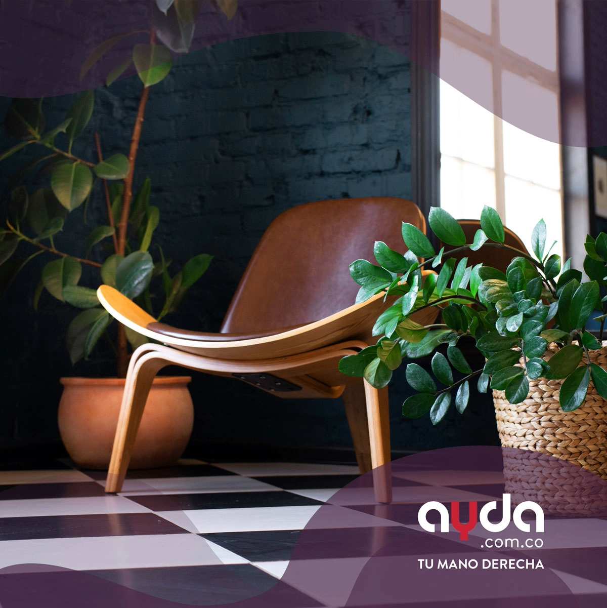 La naturaleza es una excelente decoración de casas