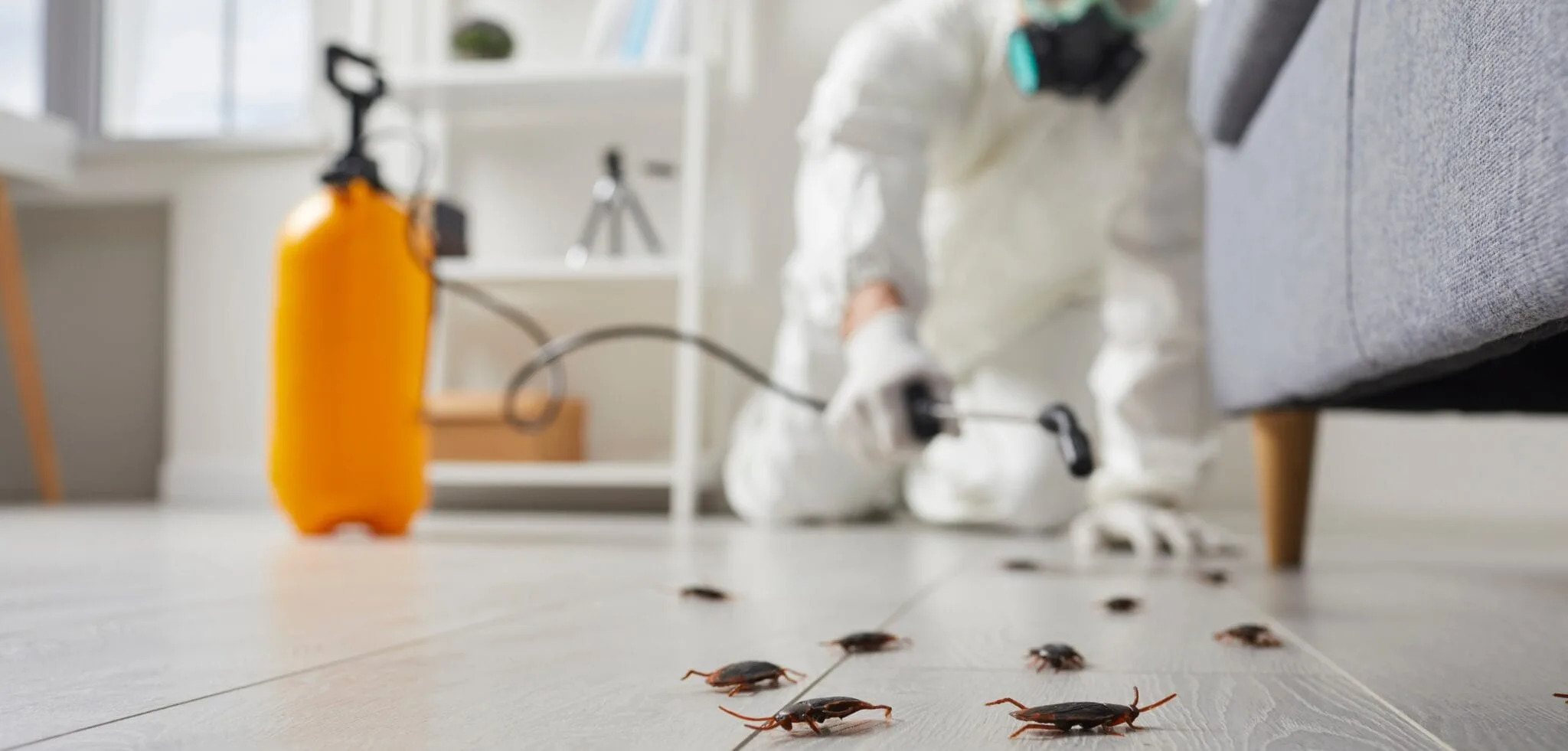 Profesional realizando proceso para fumigar cucarachas debajo de un sofá en el hogar 
