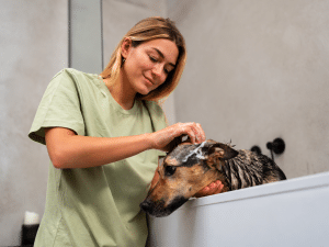 BAÑO DE MASCOTAS