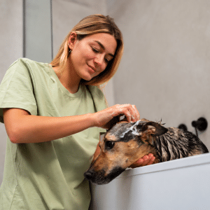 Baño de perros a domicilio con AYDA
